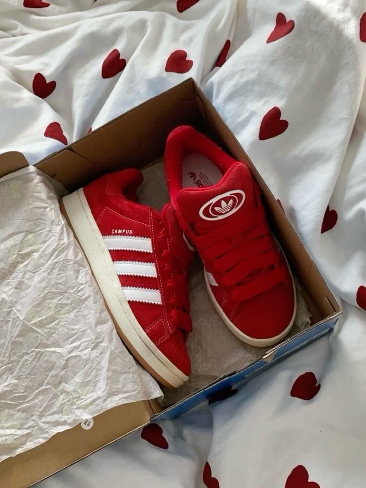 Organic Vegetable Box